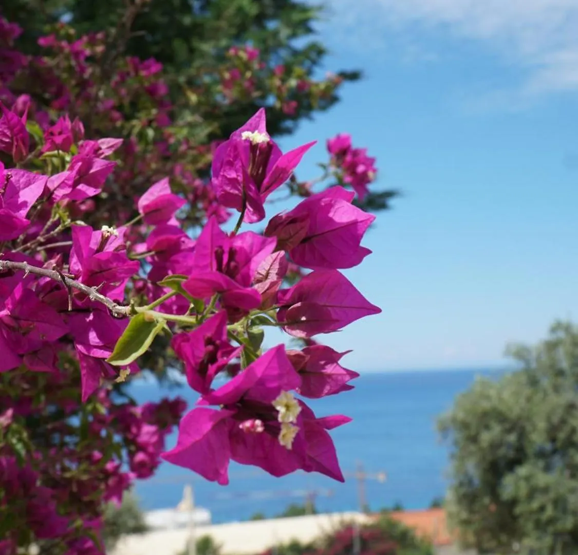 Hotel Natali Dhermi