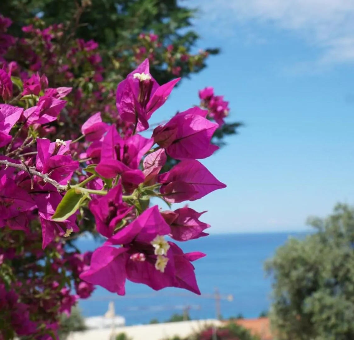 Hotel Natali Dhërmi Albania
